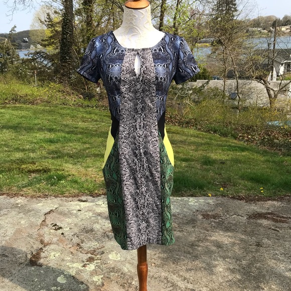 BCBG Chloe Blocked Kimono Dress Size XS - Picture 6 of 8